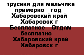 трусики для мальчика примерно 1 год - Хабаровский край, Хабаровск г. Бесплатное » Отдам бесплатно   . Хабаровский край,Хабаровск г.